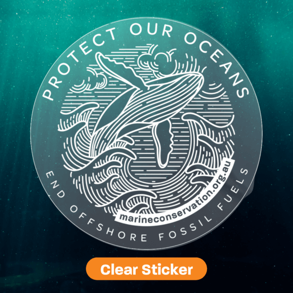 Protect Our Oceans Sticker