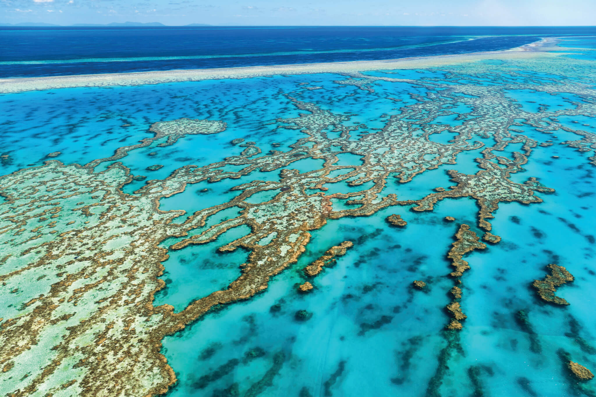 World Heritage Committee orders full review of Australia’s management of the Great Barrier Reef next year