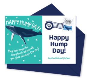 Send a Happy Hump Day Virtual Gift