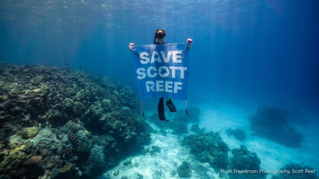 Nush Freedman Photography, Scott Reef