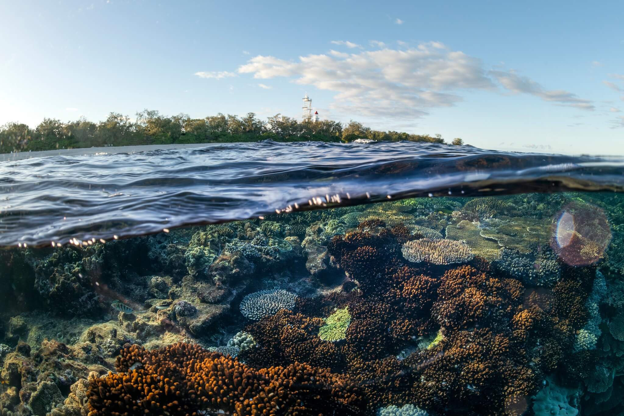 Australia submits Reef report to UNESCO, but gaps remain on climate and local threats