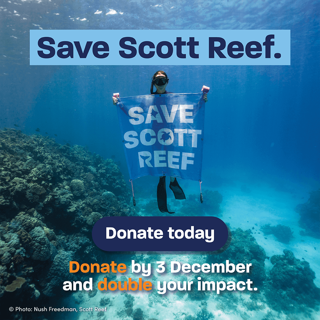 Save Scott Reef. Double your impact.